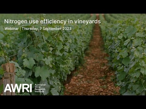 Nitrogen use efficiency in vineyards